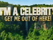 Joel Dommett Steps Down from I'm a Celebrity Spin-Show