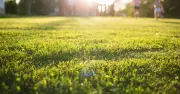 July Lawn Care Rule for Thicker, Greener Grass Revealed by Experts