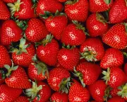 June Sunshine Boosts UK Strawberry Crop: Extra Sweetness and Early Ripening