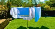 Keep Laundry Pollen-Free in July: Hang Clothes After 12pm