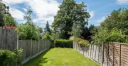 Keep Lawn Healthy in Hot Weather: Remove 3 Items to Avoid Yellow Patches
