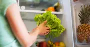 Keep lettuce fresh for 14 days longer with simple towel wrap hack