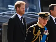 King Charles Won't Alter Diary for Prince Harry's Solo UK Visit