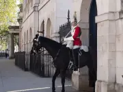 King's Guard Sounds Alarm as Horse Nearly Collapses in London Heat