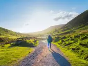 Lady Bagot's Drive: A Peaceful Circular Walk Through Clocaenog Forest
