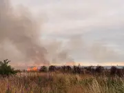 Large smoke plume seen across Merseyside as firefighters tackle Garston grass fire