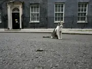 Larry the Cat Welcomes New PM Andy Burnham with Dead Mouse Gift