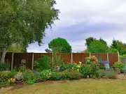 Legal Rights If Neighbour Demands Shared Fence Replacement