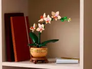 LEGO Orchid Set at Argos for £17: Slash to £1.84 with TopCashback Deal Stack