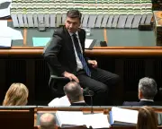 Liberals say 'all options' should be considered despite Angus Taylor hosing down gender quota proposal