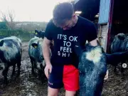 Life as a Welsh farmer in 2026: fear, isolation, and fulfilment