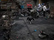 Lima house fire kills 10 family members including five children in suspected arson
