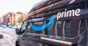Little Known Code Amazon Drivers Use If You Own a Dog in the UK