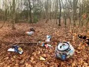 Liverpool Parks Battle 'Relentless' Litter and Vandalism