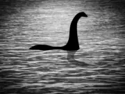 Loch Ness Monster May Have Had Babies, Experts Suggest