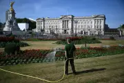 London Heatwave Causes Train Disruption and Wildfire Risk