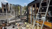Londoners Urged to Create Garden Firebreaks Amid Extreme Wildfire Threat