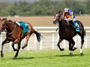 Loose horse causes Goodwood Cup chaos after interfering with Trawlerman