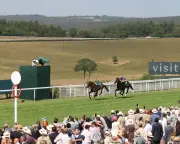 Loose Horse Drama at Goodwood Cup Involves Ryan Moore's Scandinavia
