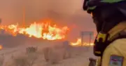Los Gallardos Wildfires: At Least 4 Brits Dead as Fire Tears Through Almeria