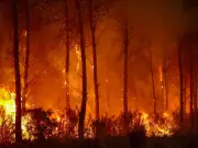 Macron: France wildfires biggest threat since WW2, battle to be long