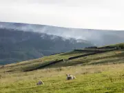 'Major Incident' Declared as Wildfires Rage in Peak District Beauty Spot