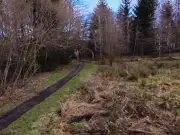 Man Arrested Over Sex Attack on Teen in Glasgow Park