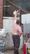 Man Banned from Pets for 10 Years After Throwing Dog Over Fence