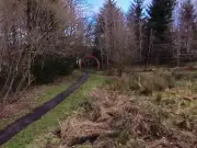 Man Charged After Girl, 16, Allegedly Raped in Glasgow Park