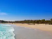 Man dies after being run over by cleaning vehicle on Spanish beach