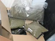 Man found with £250k cannabis after hospital visit for stab wounds