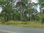 Man Raped by Stranger in Berkshire Nature Reserve Car Park