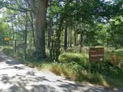 Man Raped in UK Beauty Spot Car Park, Suspect Steals £50