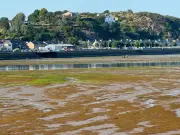 Man rescued from mud at Pwllheli harbour by RNLI and Coastguard