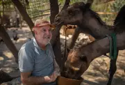 Man stayed in wartime Lebanon to rescue animals at Mashala shelter