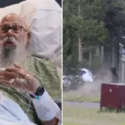 Man thrown 8ft by bison says landing was worst part