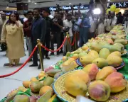 Mangoes in Australia unite Indians and Pakistanis despite historic animosity