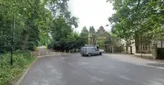 Masked Man Exposes Himself to Woman Walking Dog in Cemetery