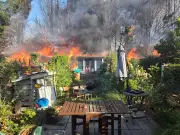 Massive Blaze Near Walthamstow Station Forces Evacuations and Train Cancellations