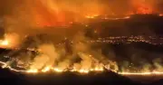 Massive Wildfire in Zaragoza Forces 1,000 Evacuations in Spain