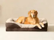 Memory Foam Dog Bed 42% Off: Supportive Sleep for Pets