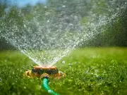 Met Office Issues Heat Warning as 34C Temperatures Forecast and Hosepipe Ban Enforced