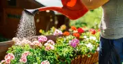 Met Office issues rain forecast for gardeners and farmers this weekend