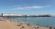 Met Office Warns of Marine Heatwave Threatening UK Sea Life
