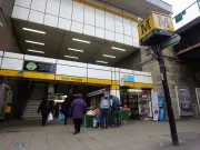 Metro Services Halted Between South Shields and Chichester After Vehicle Hits Bridge