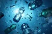Microplastics in Our Bodies: Can Testing and Treatment Help?
