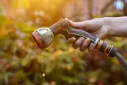 Millions More Face Hosepipe Ban as UK Swelters in Third Heatwave