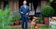 Monty Don Dismisses 'Perfect Gardener' Myth, Admits Sweetcorn Failure