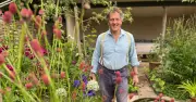Monty Don: Prune Wisteria Now for Best Blooms Next Year