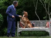 Monty Don Shares Update on Dog Ned During UK Heatwave